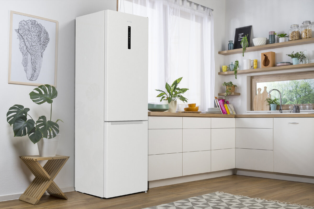 Можно ли ставить горячие блюда в холодильник? Советы! | Gorenje.Russia |  Дзен