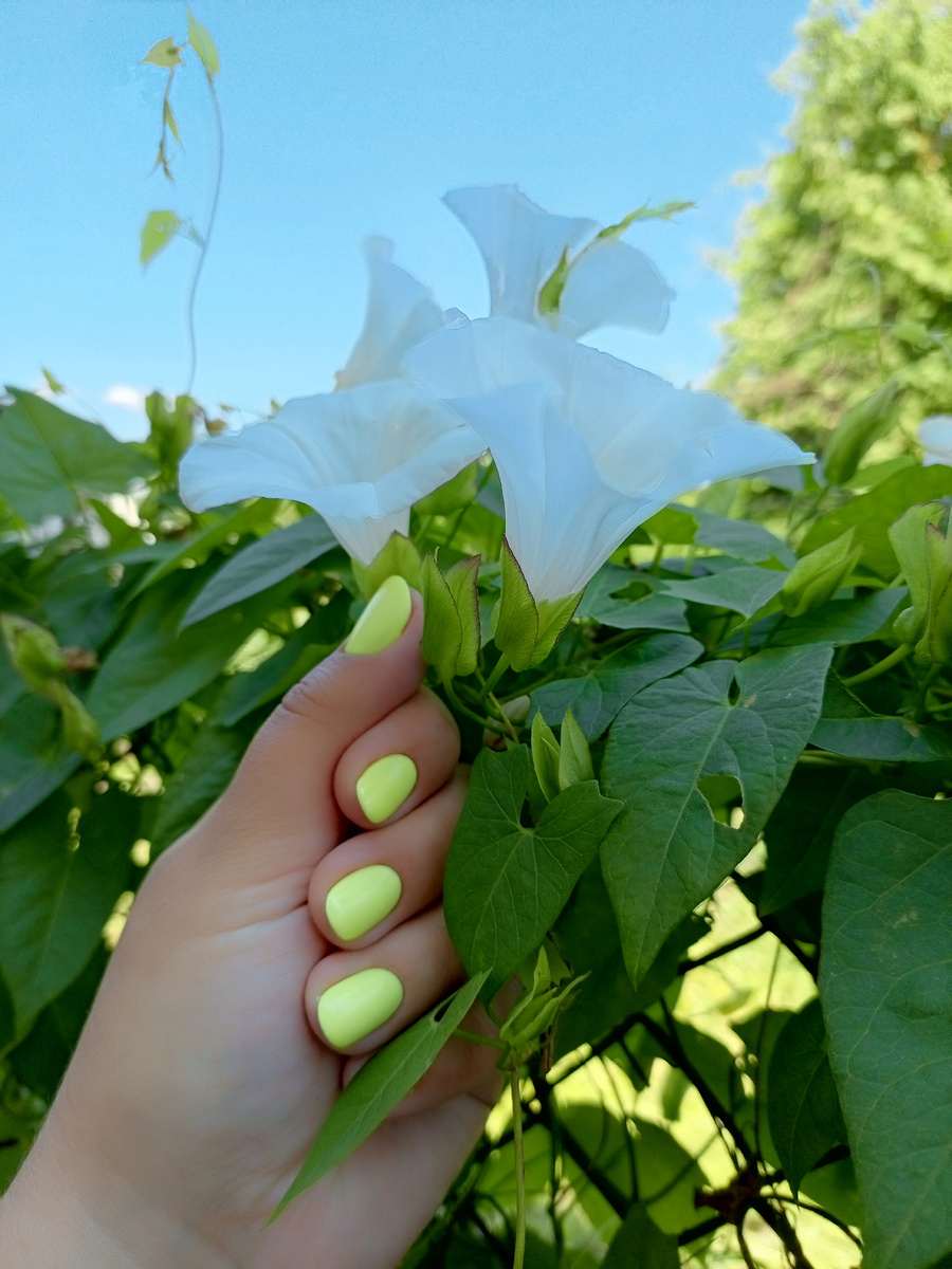 Фото сделано автором канала