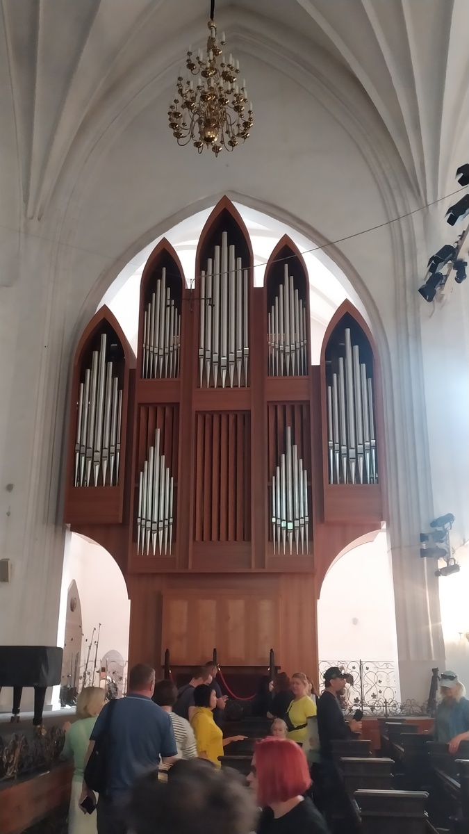 один из органов