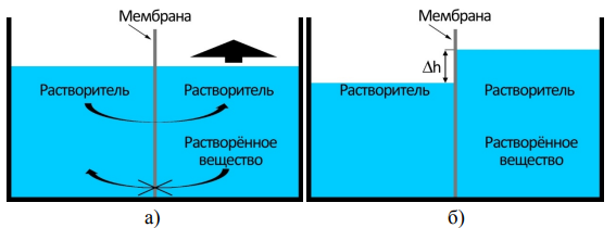 3. Процессы, протекающие в резервуаре, разделённом мембраной,  в начале процесса (а) и в равновесии (б). Источник: Авдин Вячеслав Викторович Учебное пособие.