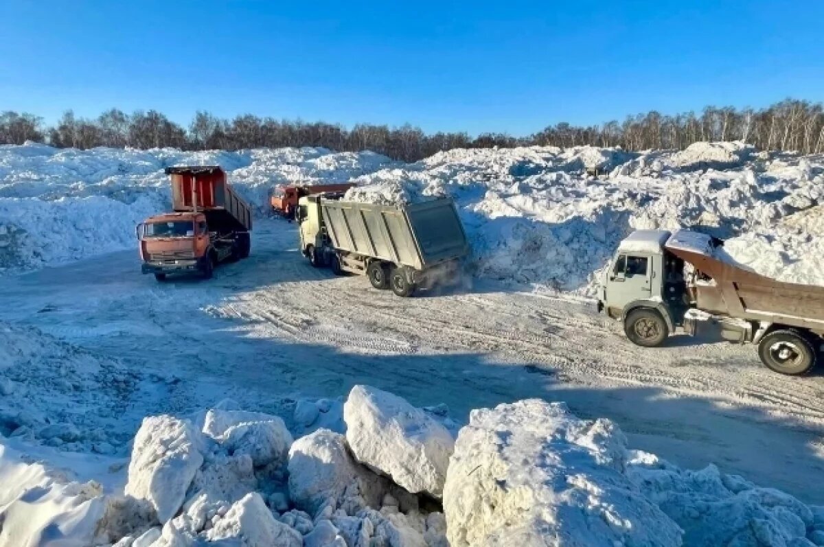    В Челябинске убранный с улиц снег хотят растапливать на новом полигоне