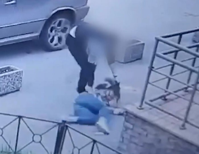 Кадр из видео. Источник: КП-Новосибирск