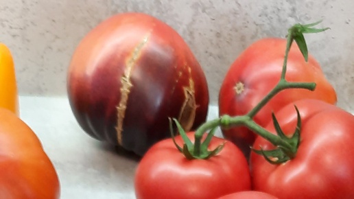 Вот это томат у нас нарасхват!