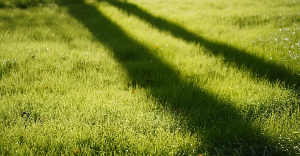 Светлана Мулыкина📷
