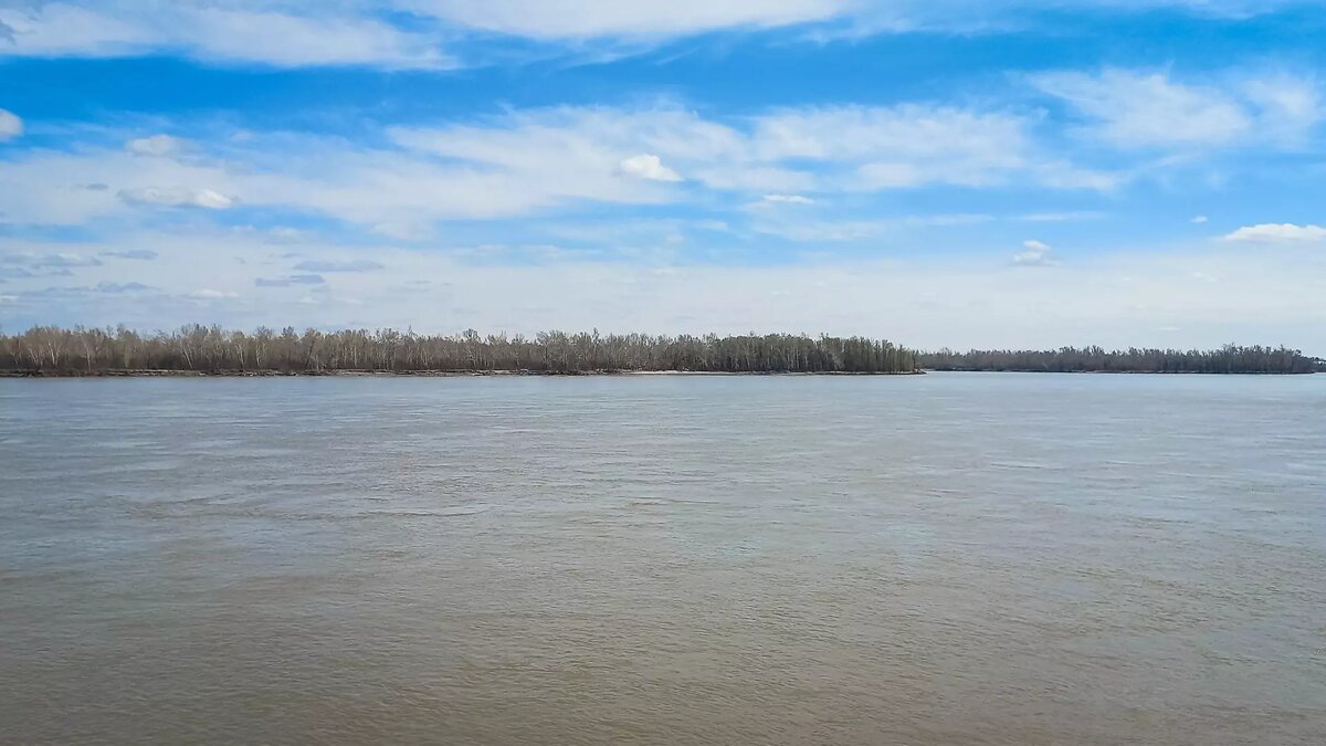     Источник: 1MI