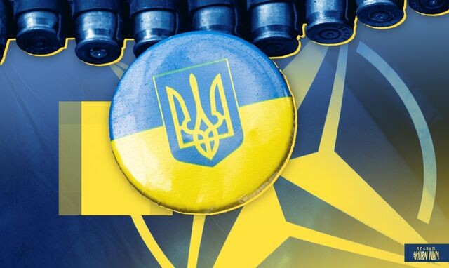 Фото взято из свободных источников