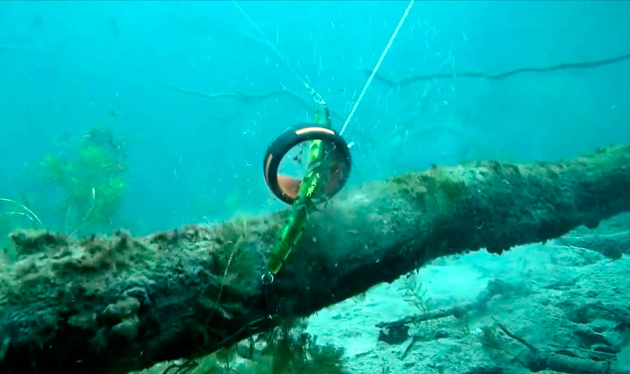 фото с сайта: https://fishingday.org/wp-content/uploads/2018/01/4-26.jpg