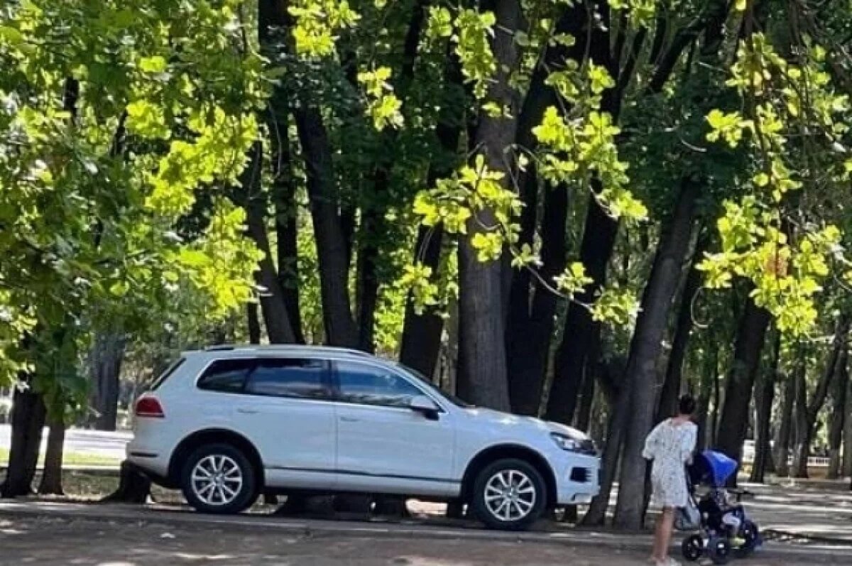    Тольяттинец заплатит штраф за «покатушки» в парке