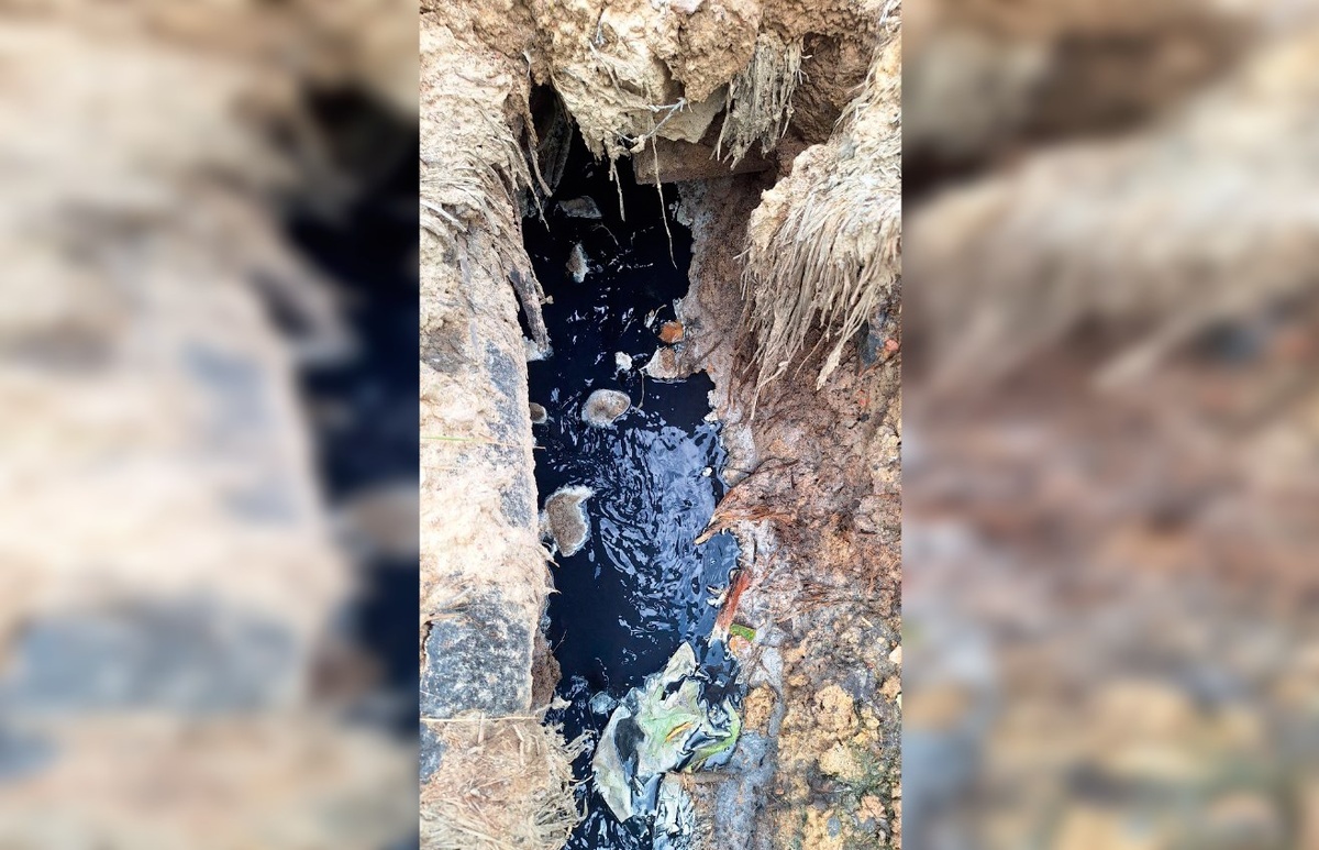 Фото: telegram.org / Пресс-сек Красногвардейского