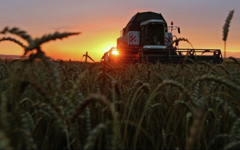 Ростовская область обмолотила более половины засеянных зерновыми площадей. © РИА Новости. Илья Наймушин