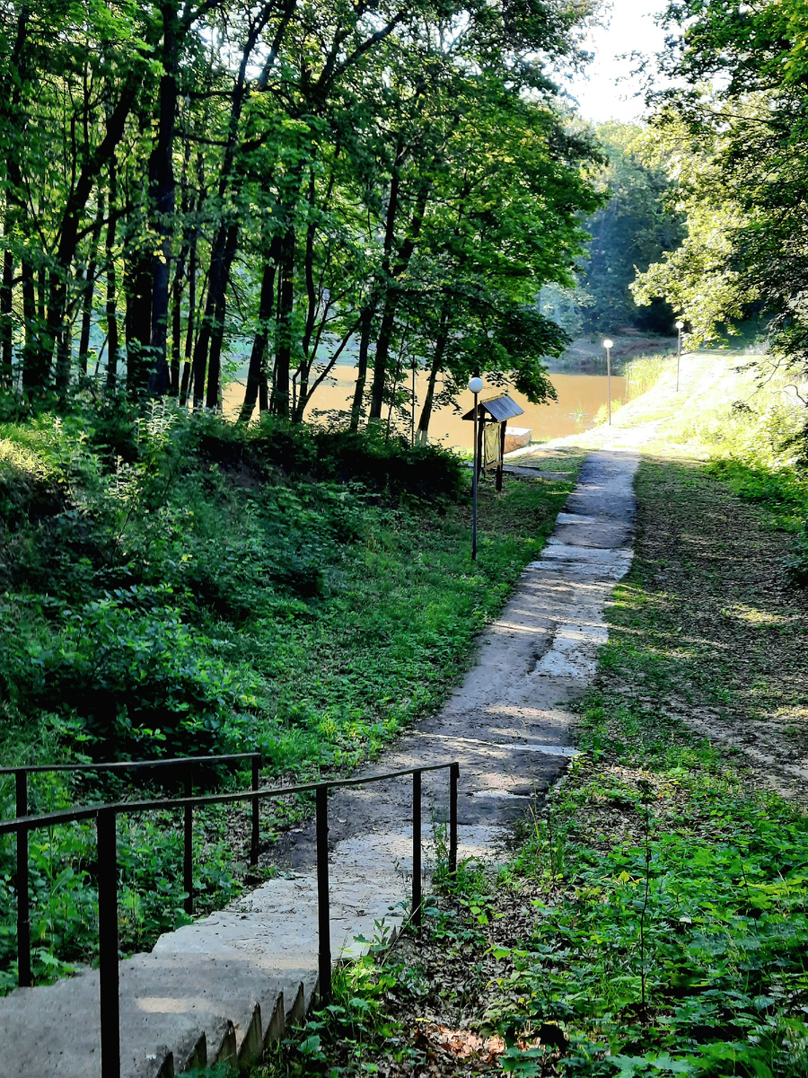 Спуск к пруду