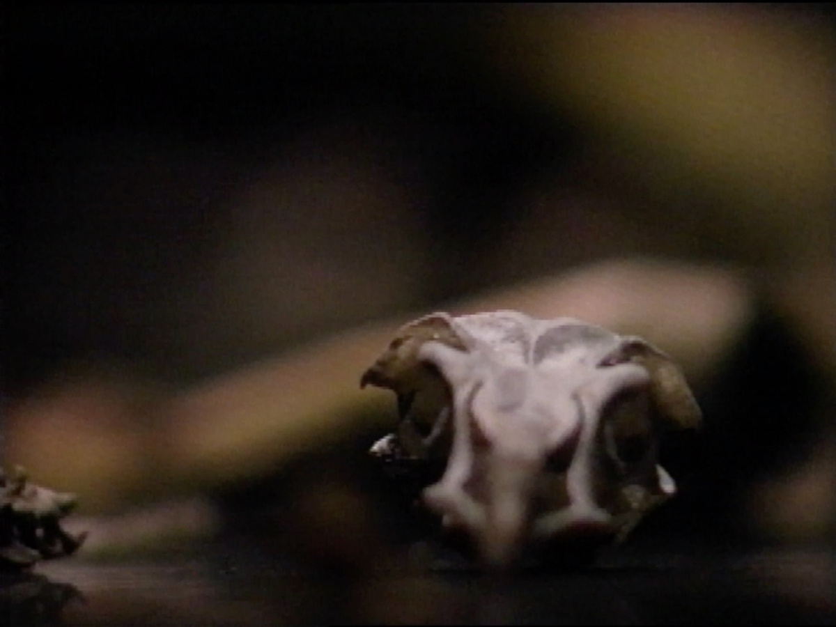    Связь с корнями и двойственные смыслы: что смотреть на выставке медиаискусства «Пространство времени» в Левашовском хлебозаводе (фото 3)