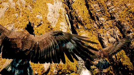 Из открытого доступа