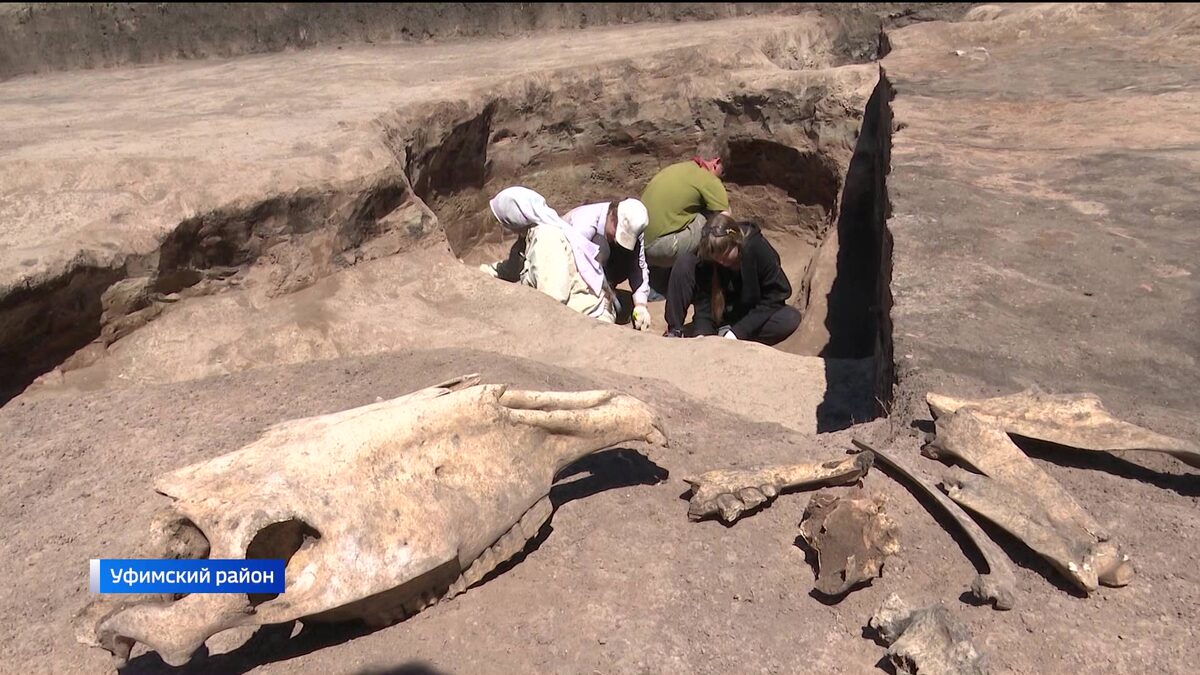    Уникальное открытие башкирских ученых: под Уфой обнаружили артефакты времен Золотой Орды