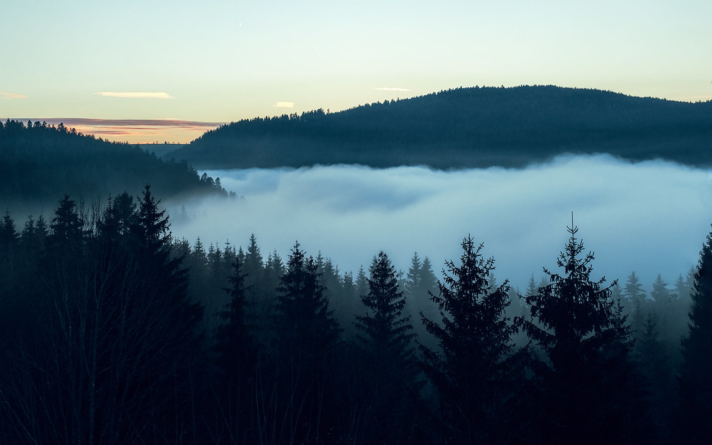 Утренние туманы — не редкость в горах. Шварцвальду они добавляют романтической красоты и напоминают путешественнику о том, что неподалеку должна быть какая-нибудь деревня, а в ней — кафе, где варят хороший кофе и подают шварцвальдский торт.