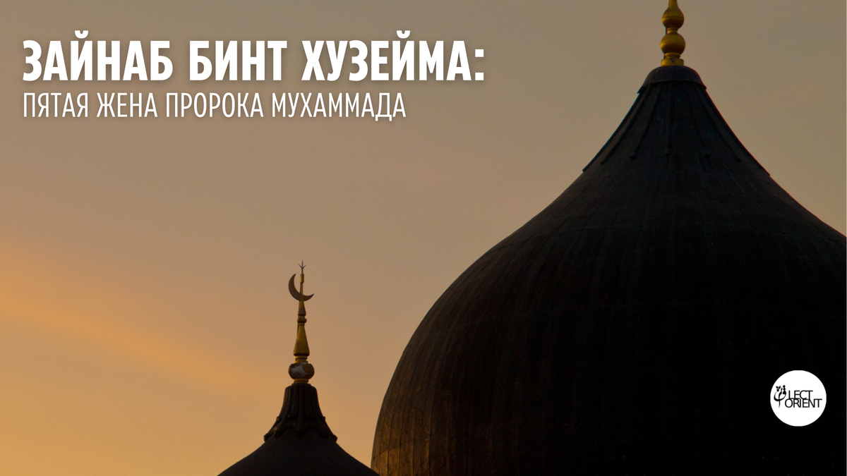 Фото взято из открытого фотостока Canva