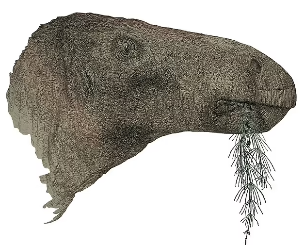    Ученые нашли скелет нового вида динозавра на острове Уайт