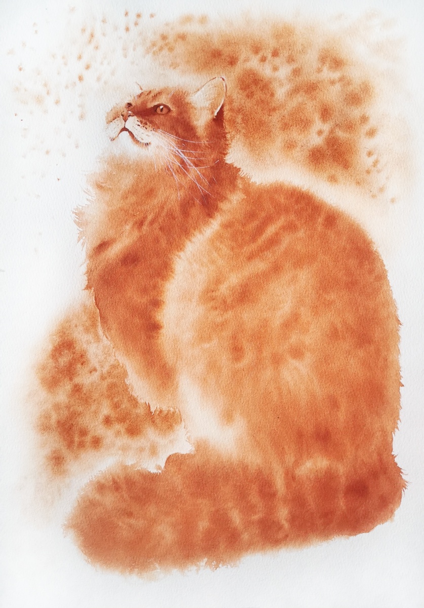 Само Очарование!...