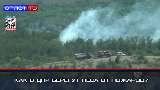 Как в ДНР берегут леса от пожаров?