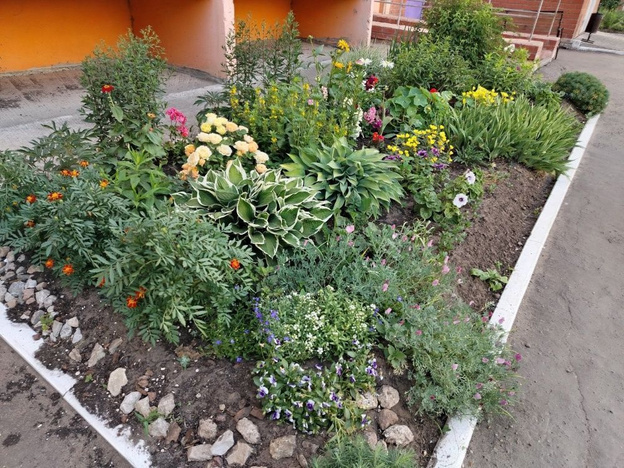    В Первомайском районе ищут лучшие цветники