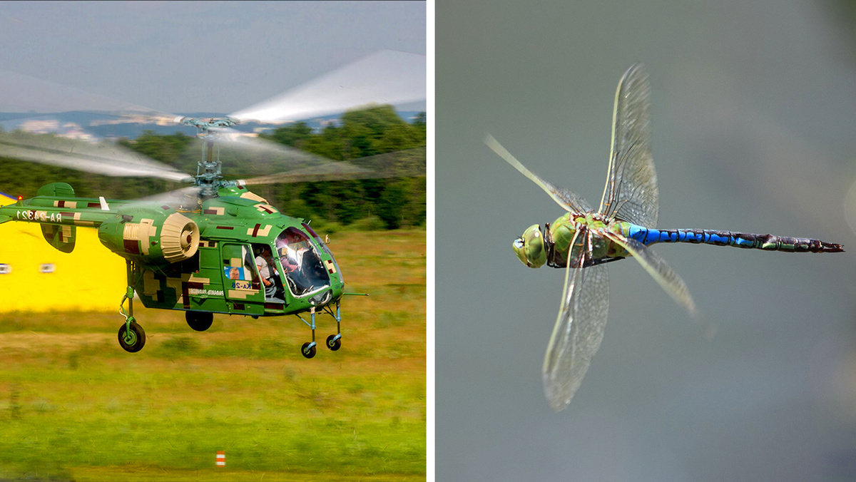 Вертолет Ка-26 и стрекоза в живой природе
