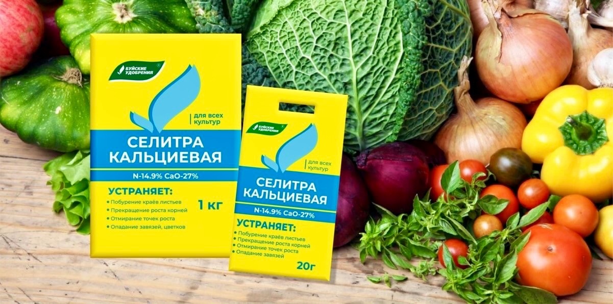 фото: https://www.botanichka.ru/entsiklopediya-udobreniy/selitra-kaltsievaya/