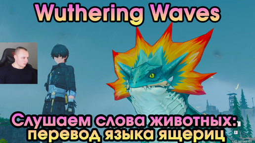 Wuthering Waves ➤ Слушаем слова животных: ящерицы ➤ Listen to Animals' Words: Translation of Lizard's Language ➤Вузеринг вейвс ➤ WuWa ➤ ВУВА