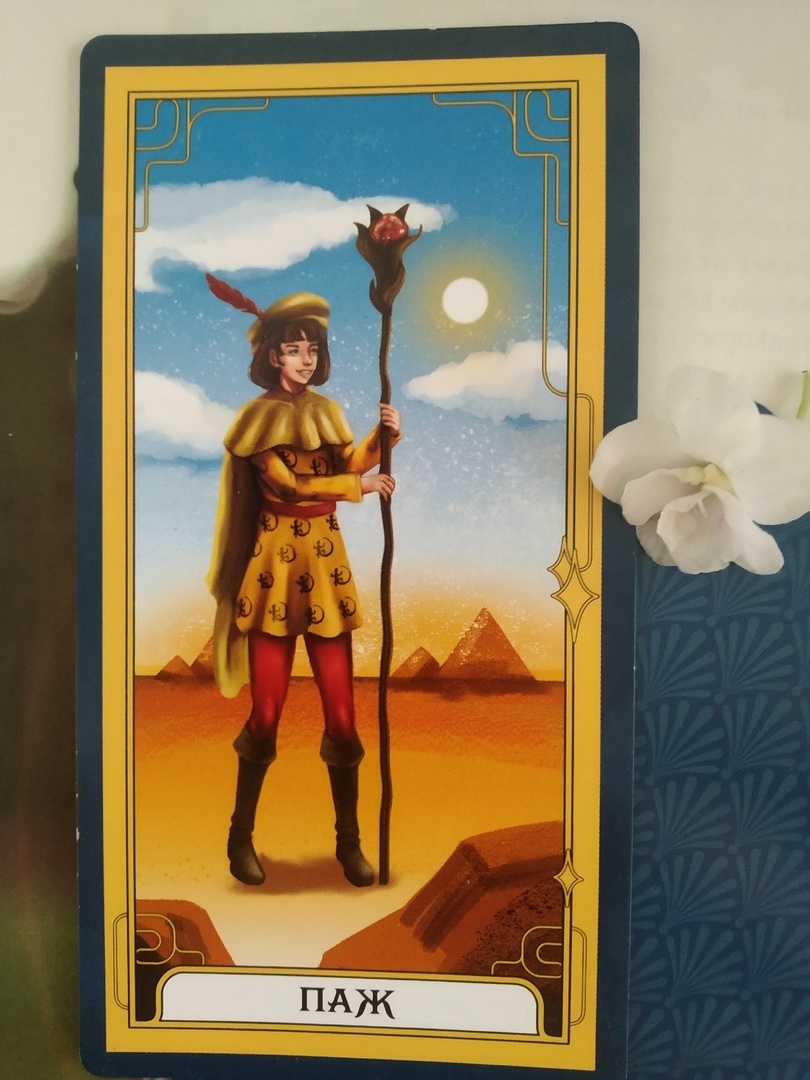 Паж жезлов Таро