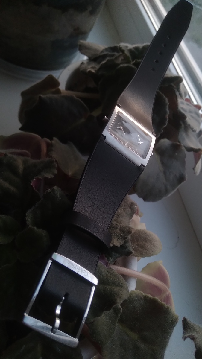 Фотографии автора