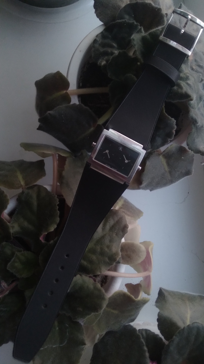 Фотографии автора