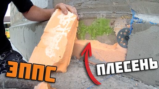 Утепление дома ЭППС. Плесень под утеплителем. Плесень на газоблоке?!