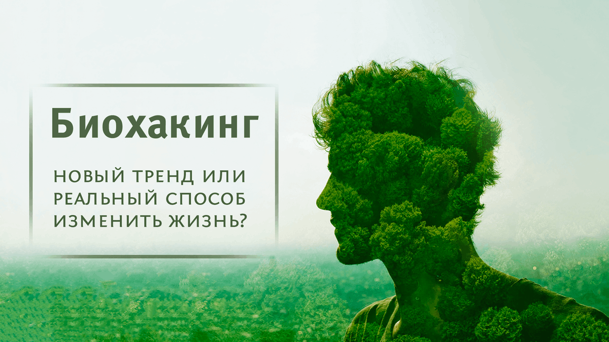 Взято из открытых источников.