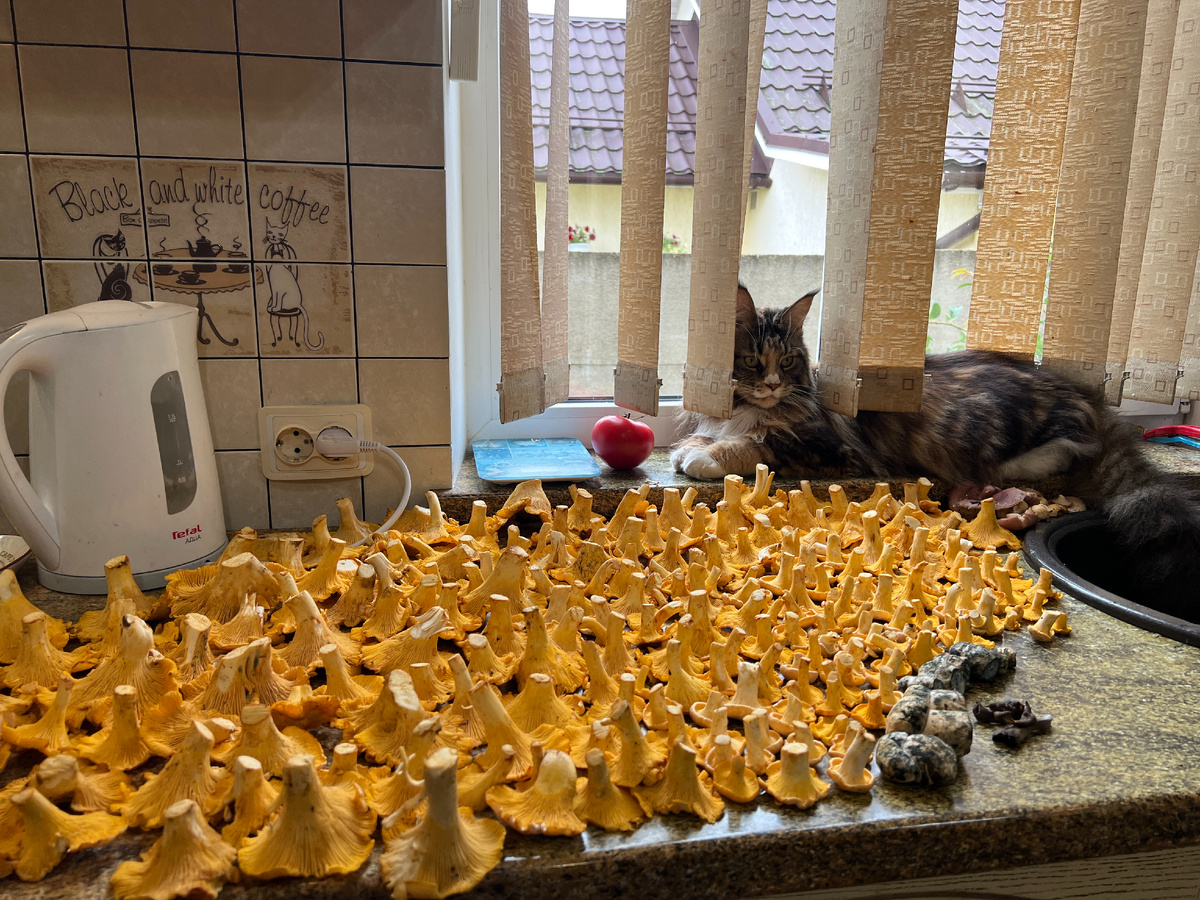 Фото автора 09.07.2024