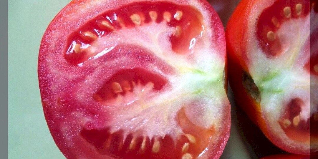 40 новых вопросов от начинающих садоводов и огородников: помогаем начинающим дачникам освоить разные премудрости