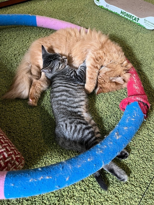-1-3