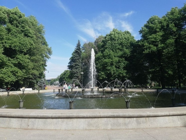     Фото: МК в Питере
