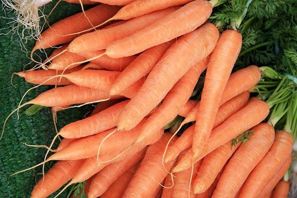 Морковь Витаминная 6 привлекает внимание не только опытных, но и начинающих огородников, поскольку выращивание не отнимает много времени и гарантирует обильные урожаи.-2