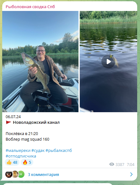 Судак на Новоладожском канале