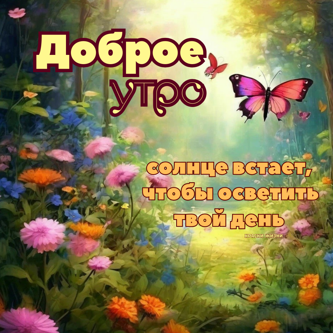 Доброе утро. Солнце встает, чтобы осветить твой день.