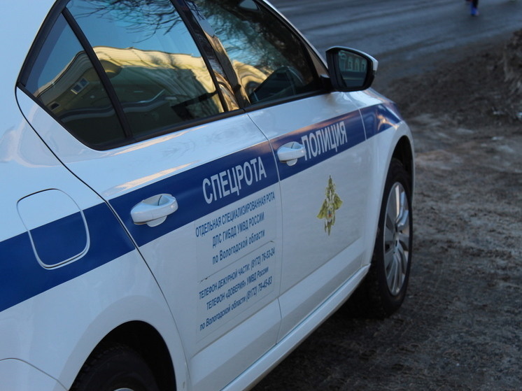     Фото: МК в Вологде.