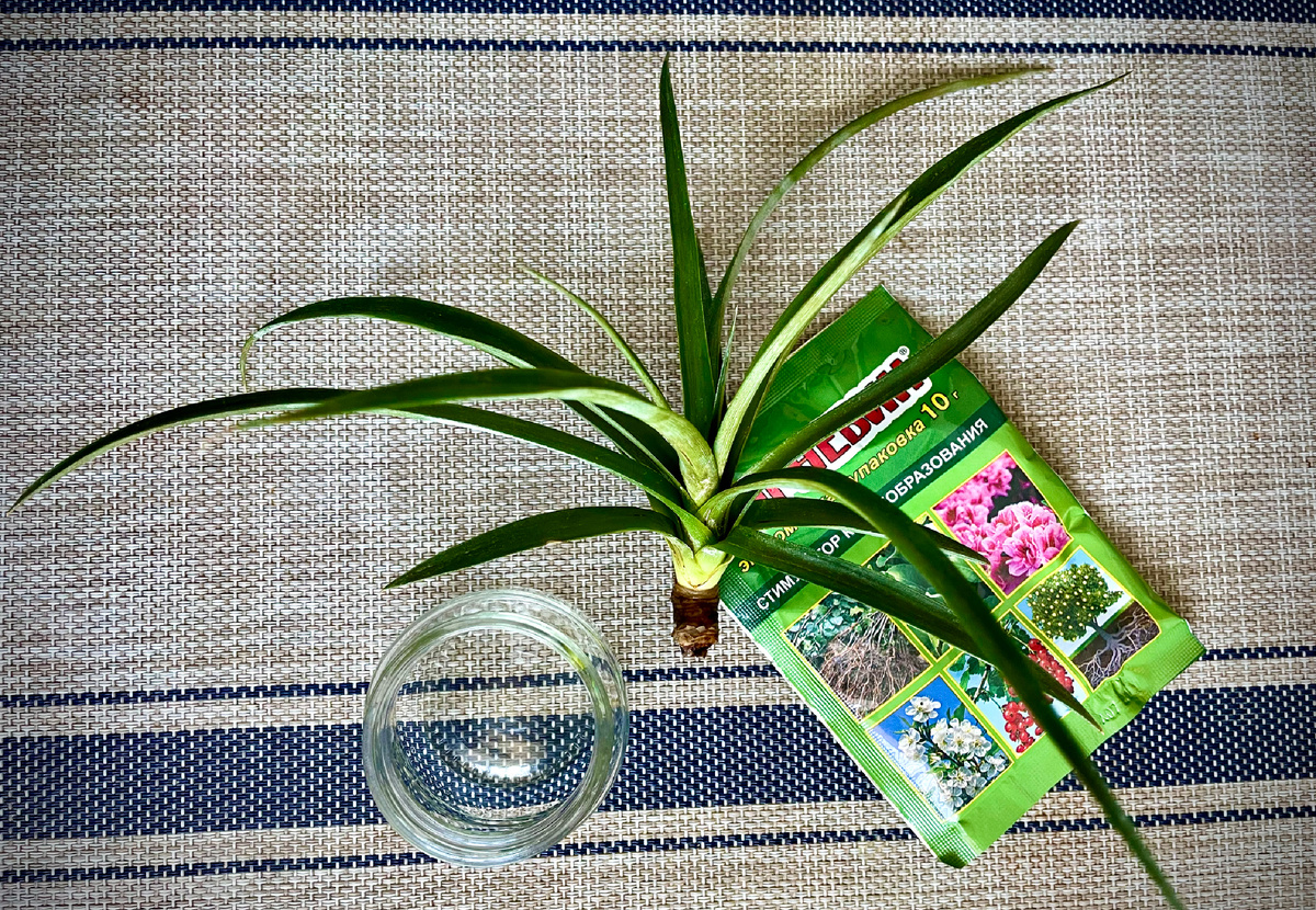 Все что понадобиться для процесса.