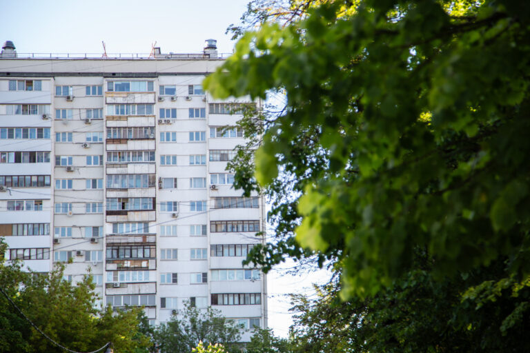    Фото: Общественная служба новостей Алла Малькова