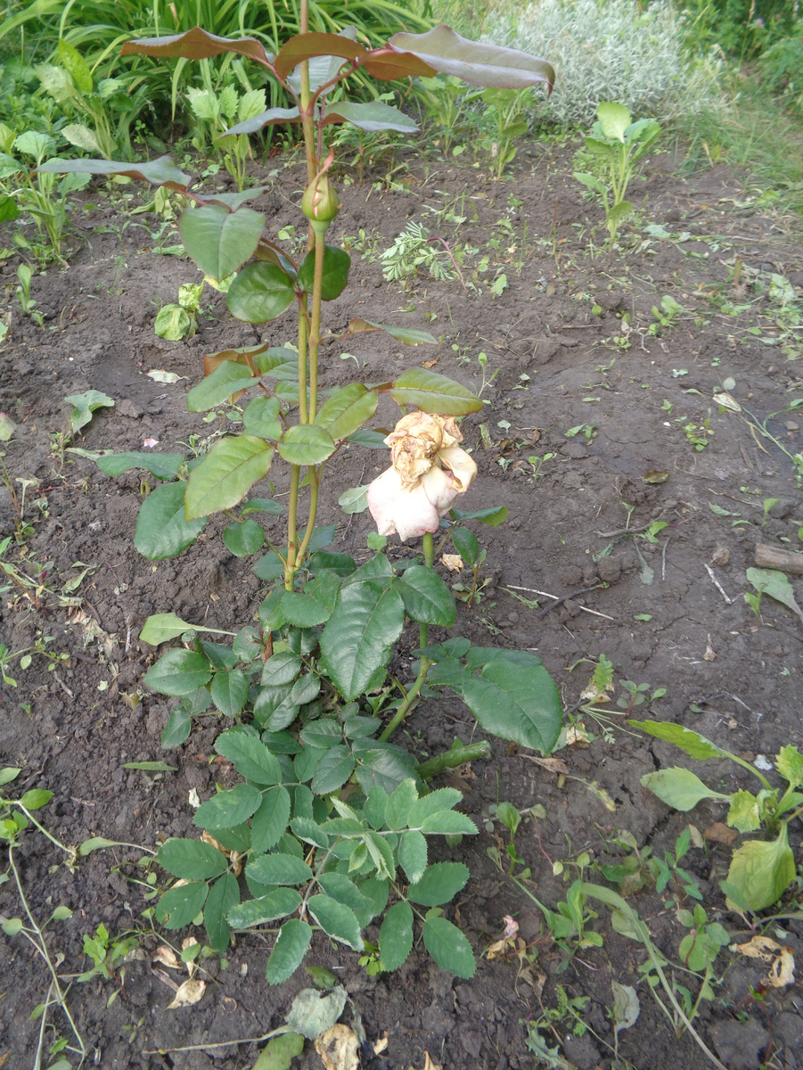 Заметили странное?