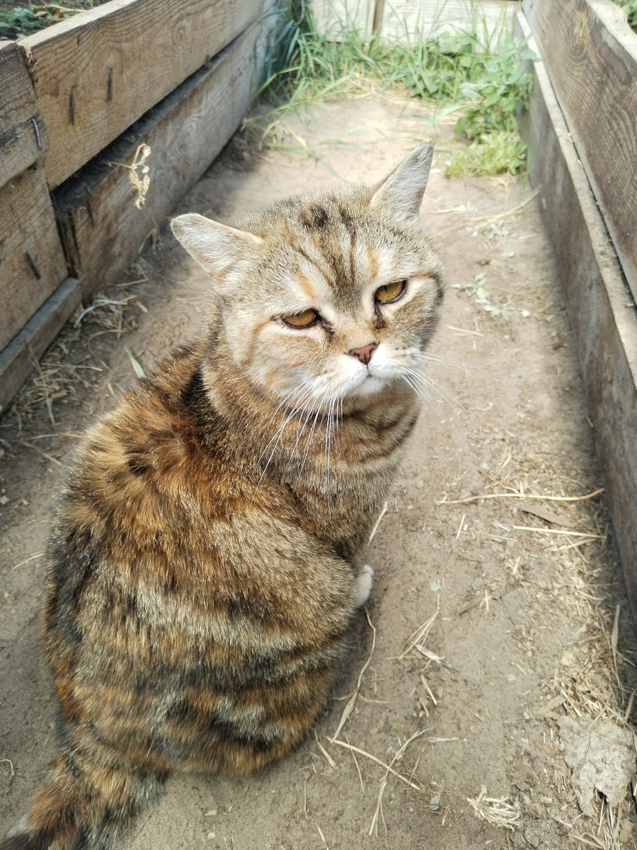 Сонечка со мной, ждёт завтрак. 