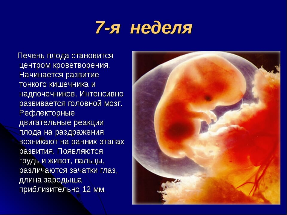 Секс во время беременности - советы и рекомендации