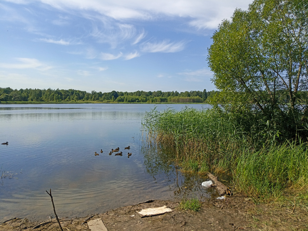 Целлофан в воде Пруда №9