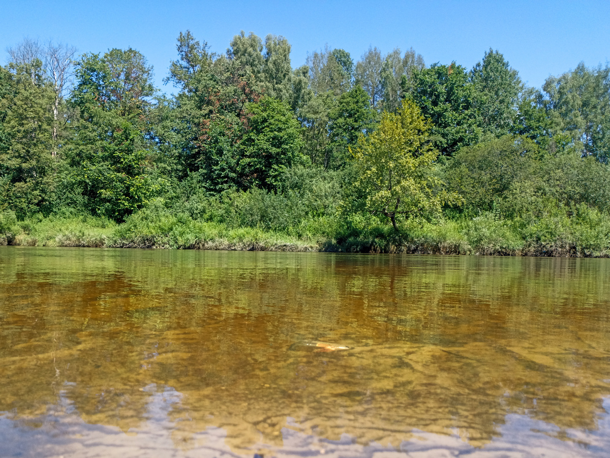 Днепр. Чистая вода и бутылка. Листайте галерею