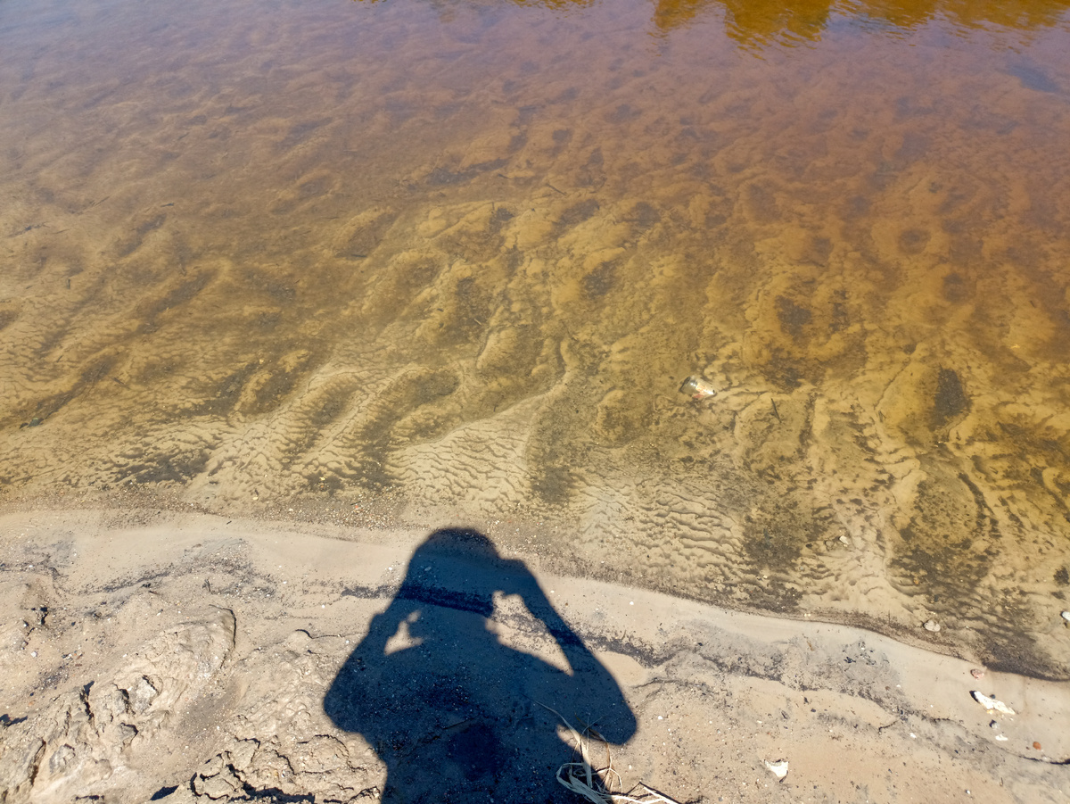 Бутылка в воде Днепра