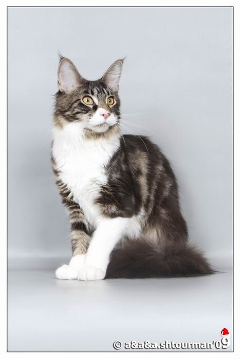 Пузырьку 1 год