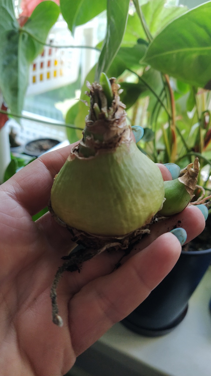 Это вчерашние съёмки 